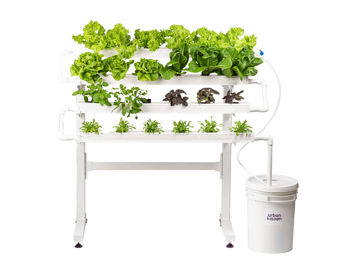 Rural365 Hydroponic Grow Kit Complete Hydroponics Growing System Kit Medium Hydro Plant Growing Kit for 54 Plants 